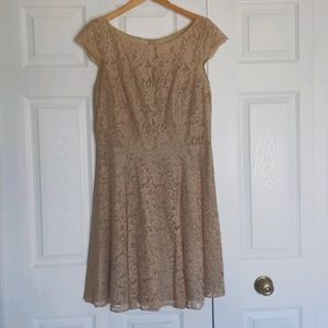 Jasmine Lace Tan & Sage Mini Dress 16